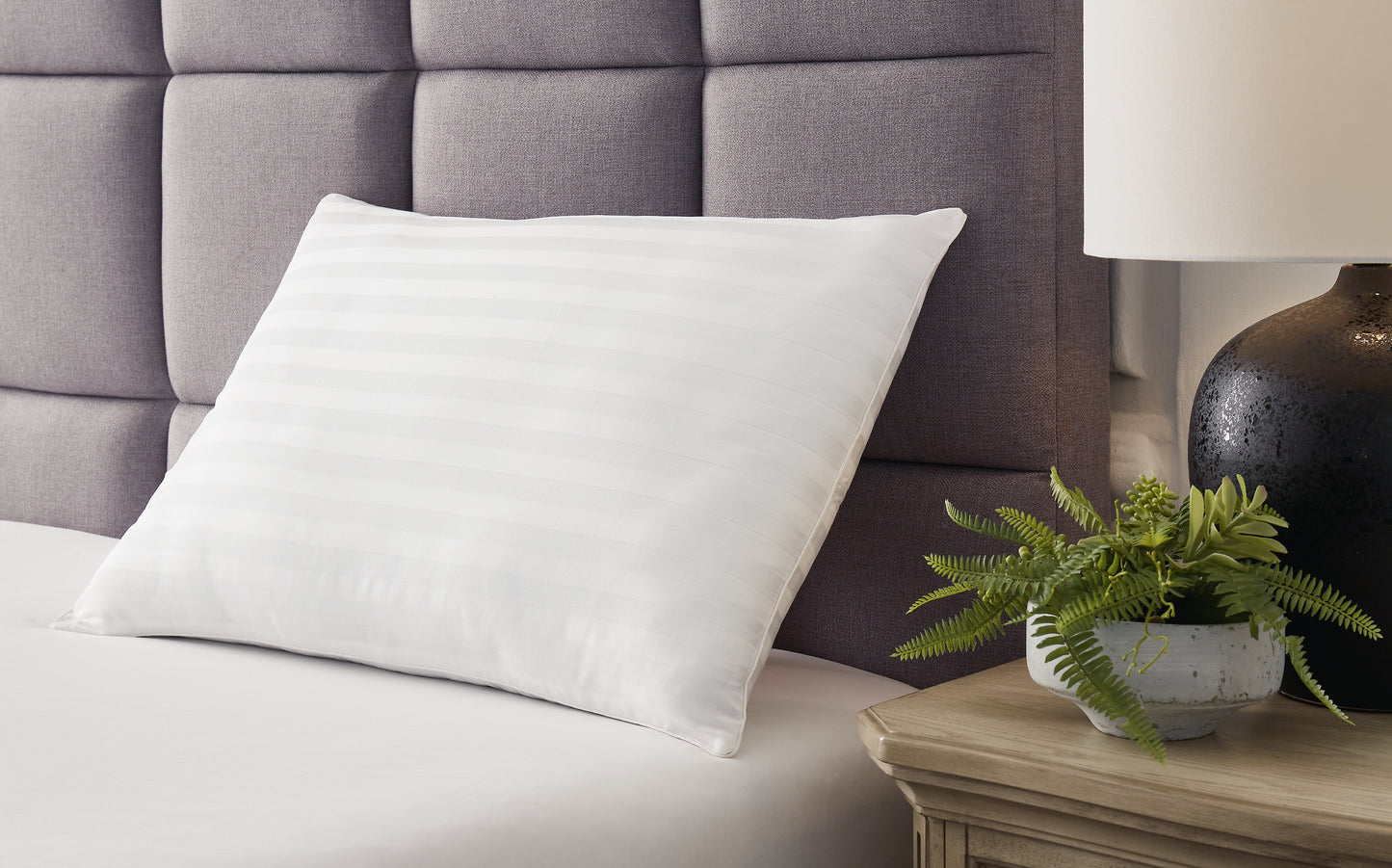 Ocala Furniture Outlet - Ashley Furniture - Zephyr 2.0 Pillows - Graphene Contour Pillow (6/CS) / Dark Gray - M52113