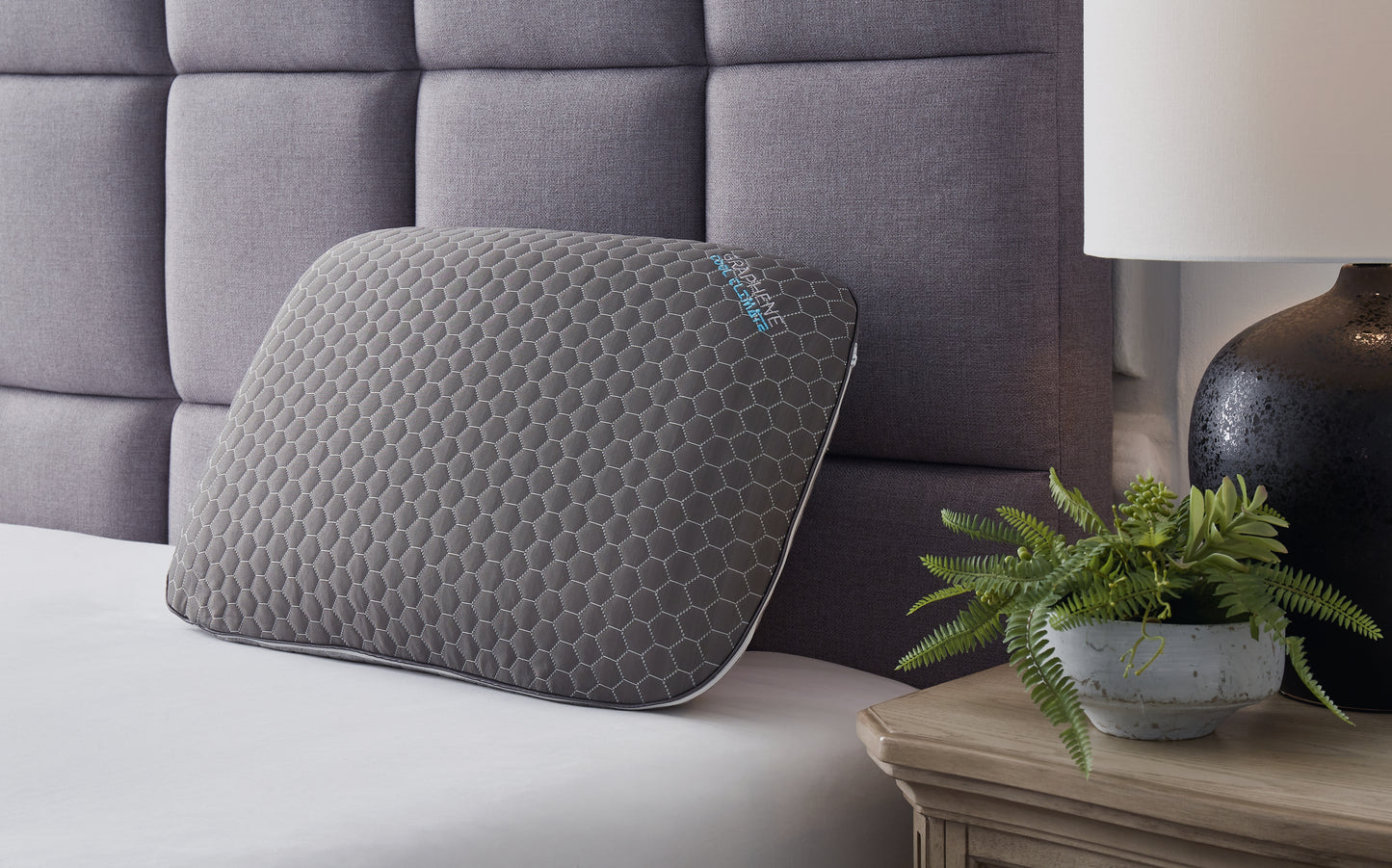 Ocala Furniture Outlet - Ashley Furniture - Zephyr 2.0 Pillows - Graphene Contour Pillow (6/CS) / Dark Gray - M52113