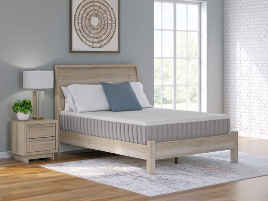 Ocala Furniture Outlet - Ashley Furniture - Terra Sleep Firm Mattresses - Queen / White - M52231