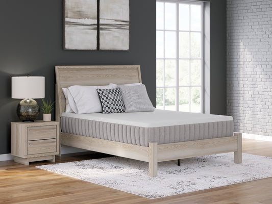 Ocala Furniture Outlet - Ashley Furniture - Terra Sleep Medium Mattresses - Queen / White - M52331