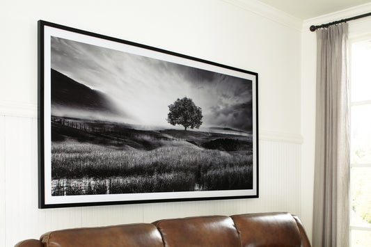 Ocala Furniture Outlet - Ashley Furniture - Deborland Wall Decor - Wall Art / Black/White - A8000341