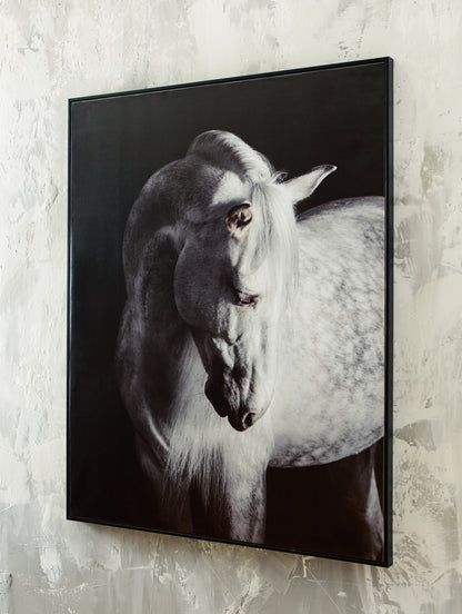 Ocala Furniture Outlet - Ashley Furniture - Archerwick Wall Decor - Wall Art / Black/White - A8000409