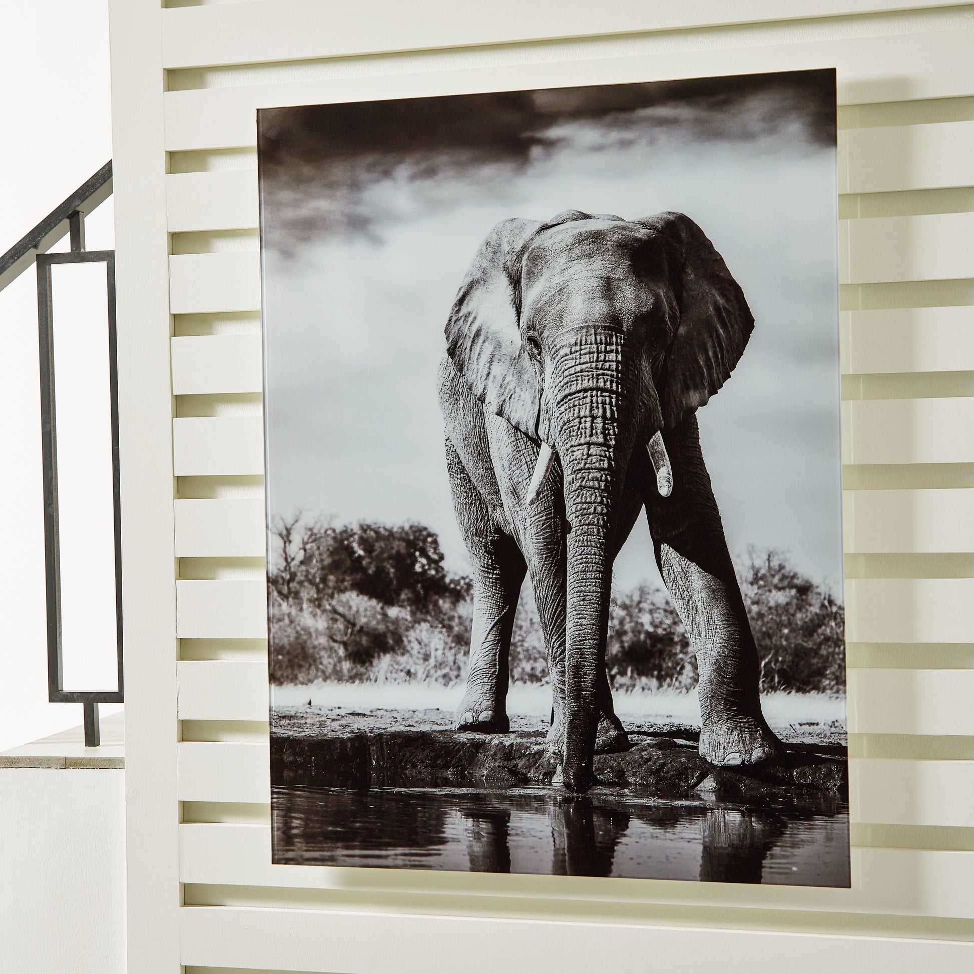 Ocala Furniture Outlet - Ashley Furniture - Glinyard Wall Decor - Wall Art / Black/White - A8000421