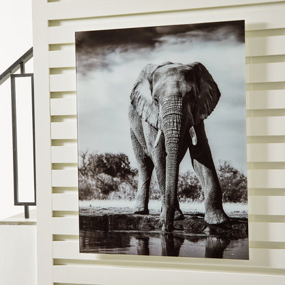 Ocala Furniture Outlet - Ashley Furniture - Glinyard Wall Decor - Wall Art / Black/White - A8000421
