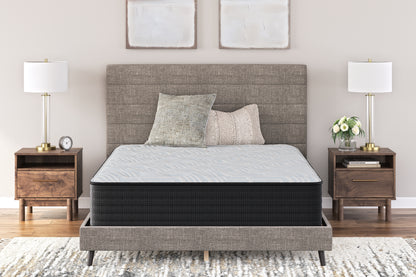 Ocala Furniture Outlet - Ashley Furniture - Palisades Plush Mattresses - Queen / Gray/Blue - M41631