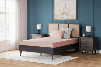 Ocala Furniture Outlet - Ashley Furniture - iKidz Coral Mattresses - Twin and Pillow 2/CN / Coral - M43111