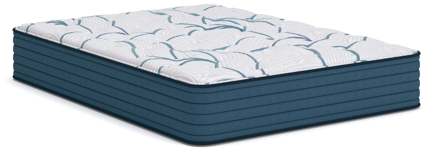 Ocala Furniture Outlet - Ashley Furniture - Limited Edition Plush 3.0 Mattresses - Queen - M45131