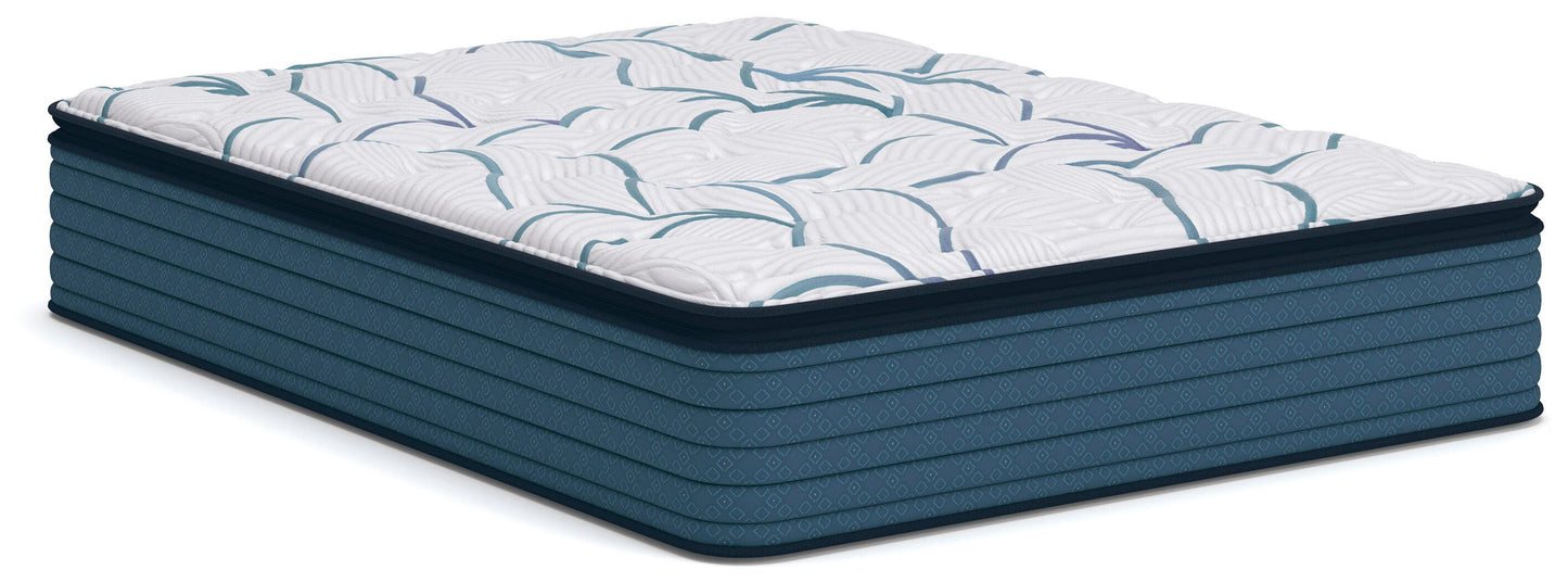 Limited Edition Plush PT 3.0 Mattresses